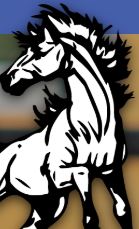 Stahl Elem. - Tuesdays