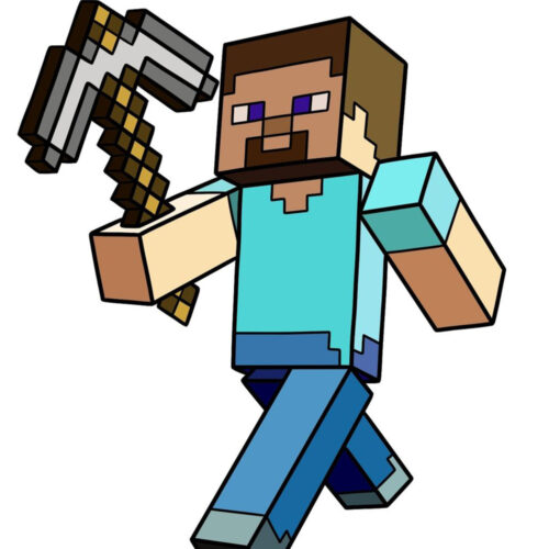 NEISD - Wetmore - "Minecraft"