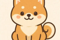 COMAL - Comal Creek - "Pet Shop"  July 20-24  1:00-4:00